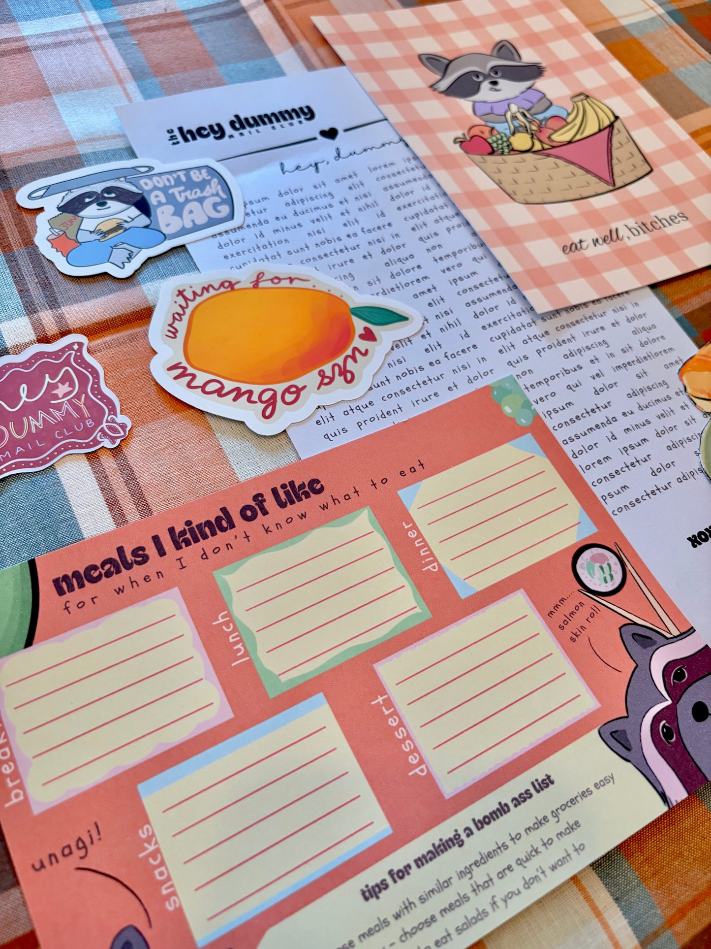 Hey Dummy Mail Club