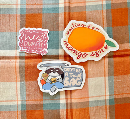 Hey Dummy Mail Club